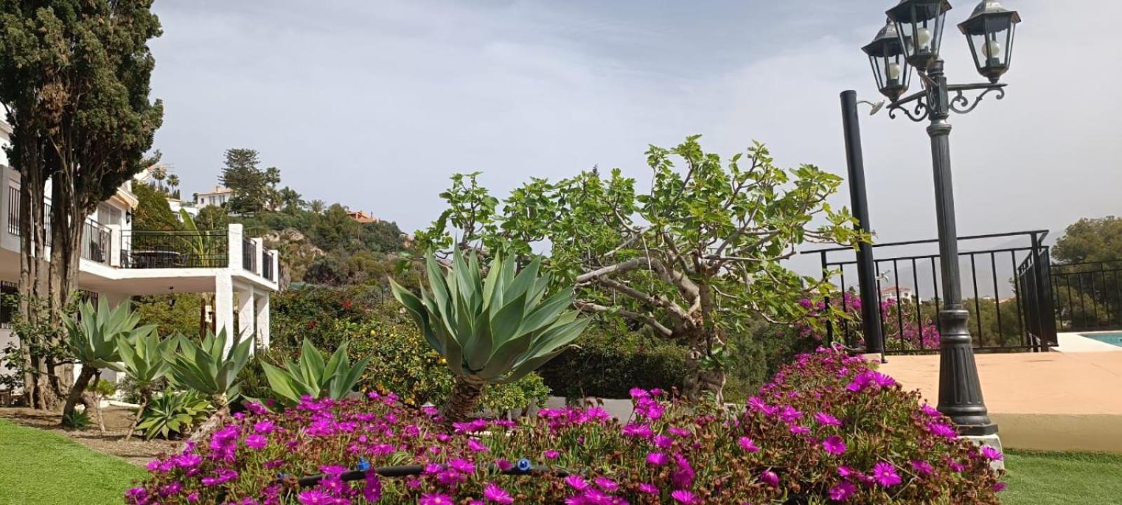 La Torrecica, Con Caracter Andaluz Y Magnificas Vistas Al Mar Y Sierra Nevada Βίλα Salobreña Εξωτερικό φωτογραφία
